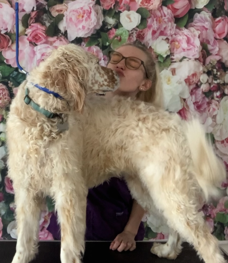 Dog kissing groomer Lauren