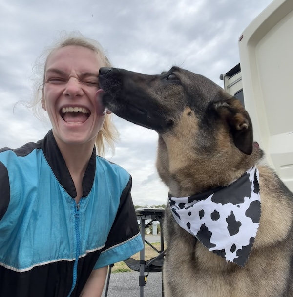 Dog with a bandana licking groomer